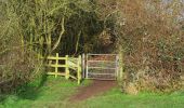 Tocht Te voet Wyre Forest - Stourport Circular Walk - Photo 9