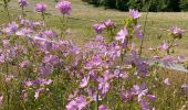 Tour Wandern Meix-devant-Virton - Gerouville - Photo 19