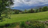 Trail Walking Soultzeren - Lac de Forlet Hohrodberg  - Photo 3