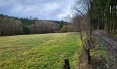 Trail Walking Bastogne - Lutrebois 150224 - Photo 2