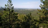 Tocht Stappen Moustiers-Sainte-Marie - segries vincel moustiers segries - Photo 1