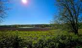 Trail Walking Mons - Balade à Hyon - Mons - Photo 12