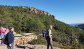 Tour Wandern Théoule-sur-Mer - Théoule, le rocher des Monges, N.D d'Afrique - Photo 11