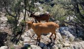 Randonnée Marche Montmeyan - Basses gorges du verdon  - Photo 10