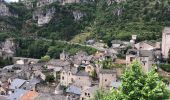 Trail Walking Gorges du Tarn Causses - Ste Enimie, le Boisset - Photo 3