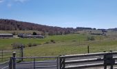 Tour Wandern Prinsuéjols-Malbouzon - prinsueljols-aubrac etape st Jacques  - Photo 12