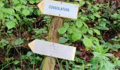 Trail Walking Consolation-Maisonnettes - reco 41 - Photo 4
