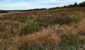 Excursión Senderismo Waimes - botrange - tour de la fagne wallonne  - Photo 15