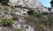 Trail Walking Toulon - Le Faron-13-04-22 - Photo 2