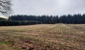 Trail Walking Libin - marche adeps villance  - Photo 9