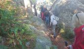 Trail Walking Fontainebleau - carrefour de l'epine 6 octobre 2023  - Photo 2