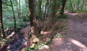 Randonnée Marche Sprimont - dans les bois au nord de Banneux - Photo 7