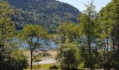 Randonnée Marche Kruth - Lac de Kruth - Grand Ventron - château de Wildenstein  - Photo 8