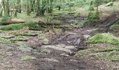 Trail Mountain bike Paliseul - vtt maissin lesse redu sechery - Photo 5