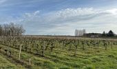 Percorso Camminata nordica Lesparre-Médoc - St Trelody Médoc - Photo 4