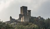 Percorso A piedi Carpineti - Valestra - Monte Valestra - Passo della Regina - Castello delle Carpinete - Photo 3