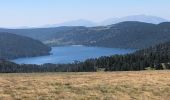 Tour Wandern Les Angles - 20220714 bollosa - refuge Camporells-lac d’Aude - Photo 5