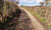 Trail Walking Sprimont - Les vallons du chantoir  - Photo 6
