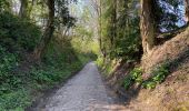 Trail Walking Beauvechain - HAMME mille 20,8 km - Photo 20