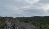 Tocht Stappen Hyères - Porquerolles - Photo 17