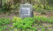 Tour Zu Fuß Steinheim - Rundwanderweg A5 [Sandebeck] - Photo 3