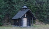 Randonnée A pied Rimbach - Neukirchen b. Hl. Blut über Haus Schönblick zur Bergstation (Berghaus) - Photo 2