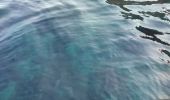 Randonnée Bateau à moteur Ota - Calanques par la mer Scandola Girolata - Photo 17