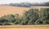 Tocht Te voet Salzatal - Braunkohlenpfad - Photo 8