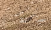 Tour Wandern Montsapey - portes de Montmélian par le col des fretes  - Photo 4