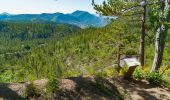 Tour Wandern Le Castellard-Mélan - Sentier de découverte du Col de Fontbelle - Photo 4