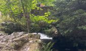 Trail Walking Saint-Bonnet-le-Courreau - Vallée de Chorsin  - Photo 7