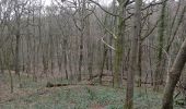 Trail Walking Charleroi - mont sur marchienne dans les bois - Photo 6