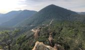 Tour Wandern Saint-Raphaël - Les grues et le Mont St Martin depuis le col Notre Dame - Photo 4