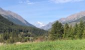 Excursión Marcha nórdica Cogne - Cogne Lilaz - Photo 1