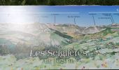 Tocht Stappen Saint-Martin-d'Uriage - marais des séglières 2020 - Photo 1