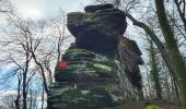 Excursión Senderismo Ottersthal - Saverne - chapelles Ste Barbe et St Michel - château Warthenberg - Photo 16