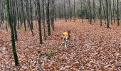 Tocht Stappen Léglise - Bombois - Photo 8