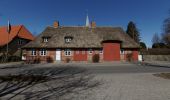 Excursión A pie Rieseby - Rundwanderweg Stubbe-Büstorf - Photo 3