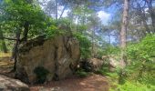 Randonnée Marche Fontainebleau - Boucle 20 km Fontainebleau vert galant - Photo 8