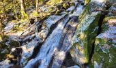 Trail Walking Lepuix - Saut de la Truite - cascade du Rummel - Etang du Petit-Haut - Ballon d'alsace - Photo 5