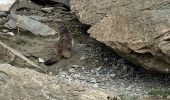 Percorso Marcia Pralognan-la-Vanoise - Col de la Vanoise - Photo 1