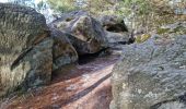 Trail Walking Fontainebleau - Sentier Denecourt 7 - Photo 15