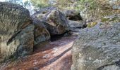 Tocht Stappen Fontainebleau - Sentier Denecourt 7 - Photo 15