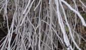 Tocht Stappen Verlaine - 2025-01-19_13h03m19_circuit_autour_du_chateau_de_seraing-le-chateau-3 - Photo 6