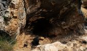 Tocht Stappen Ollioules - Les grottes de Chateauvallon - Photo 6