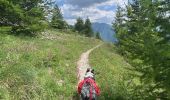 Trail Walking Abriès-Ristolas - Alf Queyras j3 réel - Photo 3