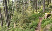 Tour Wandern Vexaincourt - Le charme mystérieux du lac de la Maix - Photo 19