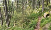 Excursión Senderismo Vexaincourt - Le charme mystérieux du lac de la Maix - Photo 19