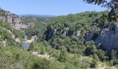 Excursión Senderismo Berrias-et-Casteljau - Bois de Paiolive Gorges de Chassezac - Photo 5