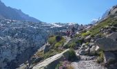 Tour Wandern Chamonix-Mont-Blanc - Glacier d'Agentière 2338m 15.7.22 - Photo 9
